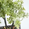 Decorative Flowers Simulated Plant Bonsai And Artificial Plastic For Home Wedding Christmas Decorations