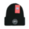 Projektantka marki męskiej czapki kobiet jesienne i zima mały w stylu zapachu Nowy ciepły mody dzianinowy kapelusz T-13