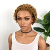 Luvkiss غير قابل للكشف الدانتيل الأمامي البني البني Pixie Cut شعر مستعار 13x4 Huamn الشعر 150 ٪ الكثافة الباروكات البشرية