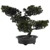 Fiori decorativi in legno di pino simulati ornamenti bonsai piante artificiali in plastica per la decorazione domestica da interni