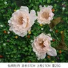 Dekorativa blommor Champagne Bröllopssimulering Flower Decoration Rose levererar torr bukett Hortensia konstgjorda