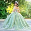 Sage Green Sweetheart Quinceanera Dress Ball Gown Mexican 3D Flowers Applique Lace Sweet 16 Princess Vestidos De XV Anos 15