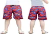 Children's Swimwear Boys Kids Printed Swim Trunks Board Shorts with Pockets QT60588729235