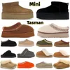 2023 Tasman Tazz Slippers Boots Chestnut Fur Slides Sheepskin Shearling Mule Lemens Men Ultra Miniプラットフォームブートスリップオンシューズスエード秋冬のブーイスト35-42