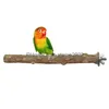 Diğer Kuş Malzemeleri 4pcs Papağan Papaz Çiğneme Oyuncakları Pençe Öğütme Dikenli Ahşap Eğitim Oyun Stand Platformu Kafes Aksesuarları 230925 DHOWC