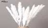 Decorative Flowers Wreaths 15 Pcs Bulrush Dried Colored Natural Flower Bouquet Wedding Home Decoration Glass Window Floral4417894