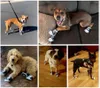 Hondenkleding Canvas Sportschoenen Voor Huisdieren Sneakers Honden Puppy Buiten Antislip Casual Mistproducten 4 stuks
