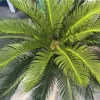 Dekorativa blommor 90/110/140 cm konstgjorda Cycas Revoluta Tree Fake Sago Palm Bonsai Tropical Green Plants Home Office Garden Floor Floor Potteded