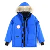 Tasarımcı Down Ceket Kış Sıcak Palto Kanadalı Kaz Günlük Mektup Nakış Dış Moda D Toptan 2 Parçası% 10 Dicount
