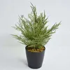 Decorative Flowers Small Fragrant Pine Potted Artificial Simulation Christmas Tree Landscape Four Seasons Green Plant Decor