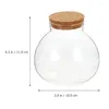 Vazen Terrarium Bloempot Mini Landschap Fles Microlandscape Ecologisch Glas Mos Ambachten Container