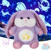 Peluche Light Up Jouets Projecteur de salle Husky Bear Jouets Poupée Coton Coussins Animaux en peluche pour filles Glowing Bunny Atmosphère 231207