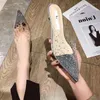 Slippers Fashion Outdoor Women Slides Pointed Toe Summer Shoes Rhinestone Med Heel Mules Champagne Silver