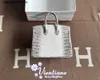 Himalaya Crocodile Handbag Tote Bags Director's Hand Sewn Platinum Bag 25m Himalayan White 01 Himalayaya Matte Two-point Crocodile Silver Buckle HBY8