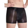 Nouveaux hommes culottes en Nylon sans couture Sexy Transparent Boxer pantalon huileux hommes sous-vêtements poche Invisible