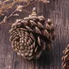 Vasen 50 stücke Weihnachten Natürliche Tannenzapfen Thanksgiving Ornamente Vase Füllstoffe Für DIY Handwerk Hause Herbst Und