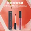 Nieuwe matte non-stick lipgloss waterdichte lippenstift vloeibare lippenstift fluwelen make-up bruine lipglazuur