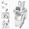 Machine Laser R-25 Abs, panneau tactile organique, opération Simple, pour Salon de lifting du visage, à vendre