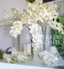 9 Vita konstgjorda phalaenopsis blommor dekorativa riktiga beröring fjäril orkidéblomma latex orkidéer för heminredning bröllop h15575234