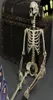 Poserbart Haunted House Horror Body Halloween Decoration Prop Crafts Home Hanging Artificial Human Skeleton Full Life Size Party Y24899286