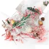 Ghirlande di fiori decorativi 1 scatola Mix Beautif Fiori secchi reali Floreale naturale per arte artigianale Scrapbooking Resina Creazione di gioielli Epossidica Dh3O1