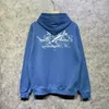 Designer-Sketch-Flugzeug-Druck, mehrfarbig, langärmeliger Kapuzenpullover, lockere Straße, reine Baumwolle, für Männer und Frauen, gleicher Großhandel, 2 Stück, 10 % Rabatt C