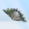 98PCSlot Natural Peacock Feather 2530cm Clothing Decoration Plumage Fashion Crafts and Stage Interior Decoration Material3170594