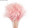 Pampas Grass Thinker Colorful Natural Light Pink Wedding Pampas Flowers Valentines Day Gift Natural Dried Reed Flower Bouquets Whi6302550