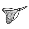 Sissy chaud Sexy hommes G String tentation tongs Jockstrap respirant araignée maille Transparent sous-vêtements gai