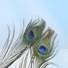 98pcslot天然孔雀の羽2530cm衣類装飾羽毛ファッションクラフトとステージインテリアデコレーションマテリアル8965416