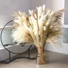 Flores decorativas naturais secas pampas grama boquete presente arranjos de flores decorações para boho casamento decoração de casa artificial