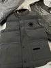 Canadá EE. UU. Invierno Popularidad al aire libre Chalecos de plumón para hombre Chalecos de moda Chaquetas para mujer Chaleco de diseñador Abrigo masculino Doudoune Luxe Goose