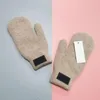 Hohe Qualität Frauen Handschuhe Mode Männer Designer Warme Fahrer Sport Mitten Marke Ski Handschuh 4 Color203R