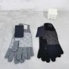 Designer Gloves Women Warm Winter Sheep Luxury Five Fingers Gloves Men Black Grey Color Glove