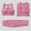 2 pezzi/3 pezzi tuta da donna senza cuciture Set da yoga palestra abbigliamento fitness abbigliamento sportivo allenamento femminile leggings reggiseno sportivo abbigliamento 210813