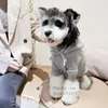 デザイナー犬服ブランドドッグアパレル冬の犬のセーターペット温かいスウェットシャツ犬のパーカークラシックレターソフトクリスマス服の子犬のベスト