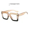 Lunettes anti-lumière bleue à la mode pour hommes et femmes, lunettes plates bicolores transparentes carrées à grande monture PF