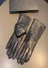 Modna kobieta designerska designerska rękawiczki Winter Handschuhe Mittens Women luksusowa rękawiczka pięć palców rękawicy 2 rozmiar projektanci Męskie rękawiczki 5294089