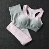 2 Piece ombre gym set yoga sets women gym clothes sports bra and leggings woman gym sportswear female fitness clothing suit T200115