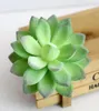 Mini piante succulente artificiali per la decorazione domestica plastica verde finto cactus piante grasse simulazione pianta finta arredamento per ufficio C19049729416