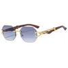 Sunglasses 2023 European And American Personalized Versatile Fashion Box Trendy Glasses