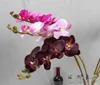 1 haste real toque látex artificial traça orquídea borboleta flor de orquídea para nova casa decoração de festival de casamento f472 c09245104954