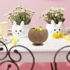Bowls Coconut Shell Bowl Ice Cream Home Decor Coconuts-shell Cups Dessert Salad Small Household Fruit