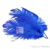 HELA 100PCSLOT 1214INCH3035CM Royal Blue Ostrich Feather Plume For Wedding Centerpiece Home Decor1101856