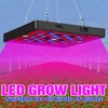 LED Grow Light 2000 W 3000W Pełny spektrum szklarni Phytolamp LED LED Elanting229s