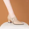 Dress Shoes 2023 Spring And Autumn Pointed Deep Mouth Leather Mid-heel Working Women's Fashion Soft Sole Single