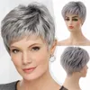 Cosplay perukları kısa peruk Avrupa ve Amerikalı kadın sentetik saçlar günlük kullanım moda karışımı renk gümüş gri kimyasal elyaf kafa kapağı 231211