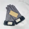 Fünf-Finger-Handschuhe, modisch, Wildleder, Winter, Damen, Reiten, mit Fleece gefüttert, gepolstert, warm, kältebeständig, winddicht, Drop-Lieferzubehör, Hut Dhent