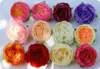 50st DIY Artificial Flowers Silk Peony Flower Heads Wedding Party Decoration Supplies Fake Flower Head Home Decorations6020973