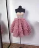 Casual Dresses Strapless Mini Dress Lace Tulle Layered Ball Gown Ruffles Pink Party Gowns Women's Plus Size Prom